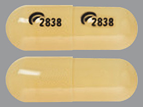 FENOFIBRIC ACID DR 45 MG CAP