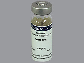 WHITE PINE 1:20 (W/V) VIAL