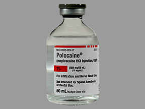 POLOCAINE 1% VIAL