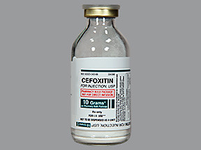 CEFOXITIN 10 GM VIAL