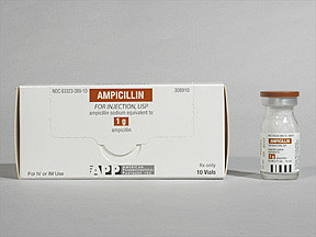 AMPICILLIN 1 GM VIAL