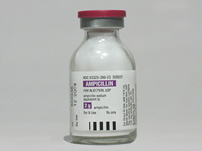 AMPICILLIN 2 GM VIAL