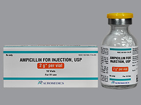 AMPICILLIN 2 GM VIAL