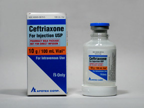 CEFTRIAXONE 10 GM VIAL