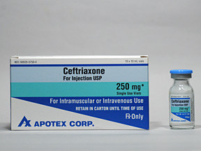 CEFTRIAXONE 250 MG VIAL