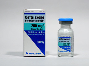 CEFTRIAXONE 250 MG VIAL