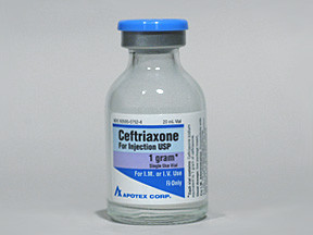 CEFTRIAXONE 1 GM VIAL