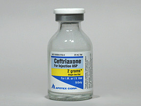 CEFTRIAXONE 2 GM VIAL