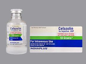 CEFAZOLIN 10 GM VIAL