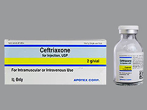 CEFTRIAXONE 2 GM VIAL