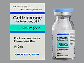 CEFTRIAXONE 250 MG VIAL