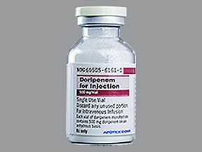 DORIPENEM 500 MG VIAL