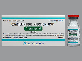 OXACILLIN 1 GM VIAL
