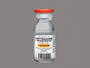 CEFTRIAXONE 1 GM VIAL