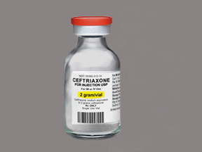 CEFTRIAXONE 2 GM VIAL