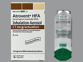 ATROVENT 17 MCG HFA INHALER