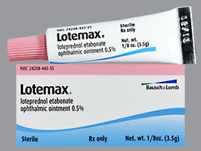 LOTEMAX 0.5% EYE OINTMENT