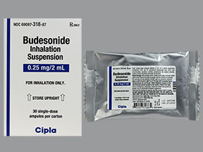 BUDESONIDE 0.25 MG/2 ML SUSP