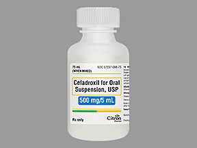 CEFADROXIL 500 MG/5 ML SUSP