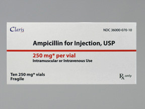 AMPICILLIN 250 MG VIAL