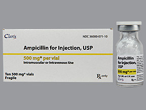 AMPICILLIN 500 MG VIAL