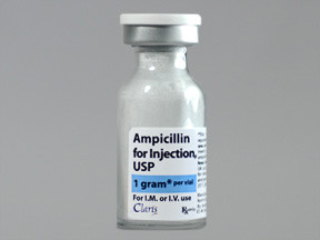 AMPICILLIN 1 GM VIAL