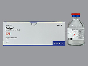 FORTAZ 2 GM VIAL