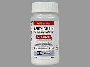AMOXICILLIN 250 MG/5 ML SUSP