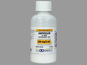 AMPICILLIN 250 MG/5 ML SUSP