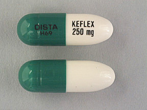 KEFLEX 250 MG PULVULE