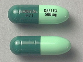 KEFLEX 500 MG PULVULE