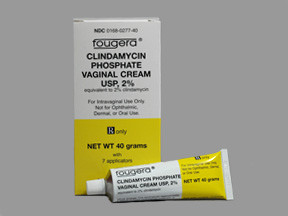 CLINDAMYCIN 2% VAGINAL CREAM