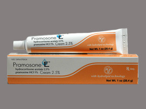 PRAMOSONE E 2.5%-1% CREAM