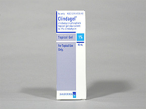 CLINDAGEL 1% GEL