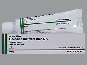 LIDOCAINE 5% OINTMENT