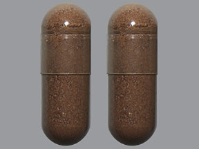 GNP CINNAMON 500 MG CAPSULE