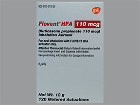 FLOVENT HFA 110 MCG INHALER