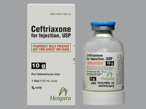 CEFTRIAXONE 10 GM VIAL