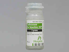 CEFTRIAXONE 2 GM ADD VIAL