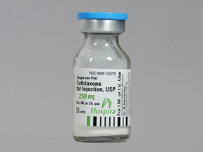 CEFTRIAXONE 250 MG VIAL