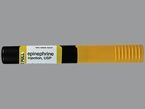 EPINEPHRINE 0.3 MG AUTO-INJECT