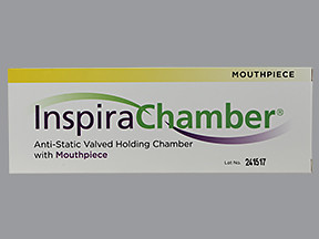 INSPIRACHAMBER