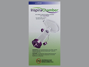 INSPIRACHAMBER WITH MASK-LARGE