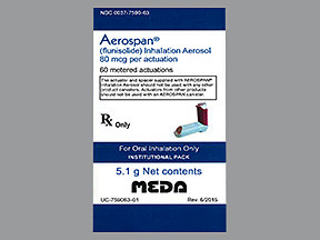 AEROSPAN 80 MCG INHALER