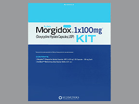 MORGIDOX 1X100 MG KIT