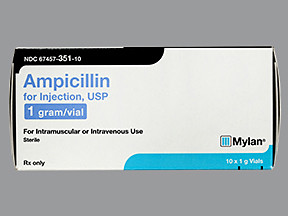 AMPICILLIN 1 GM VIAL