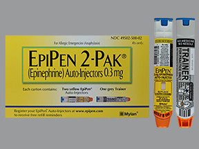 EPIPEN 2-PAK 0.3 MG AUTO-INJCT