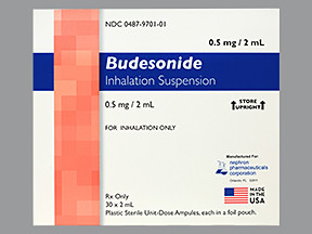 BUDESONIDE 0.5 MG/2 ML SUSP
