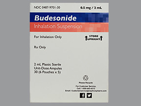 BUDESONIDE 0.5 MG/2 ML SUSP
