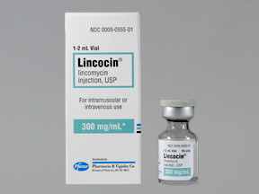 LINCOCIN 300 MG/ML VIAL
